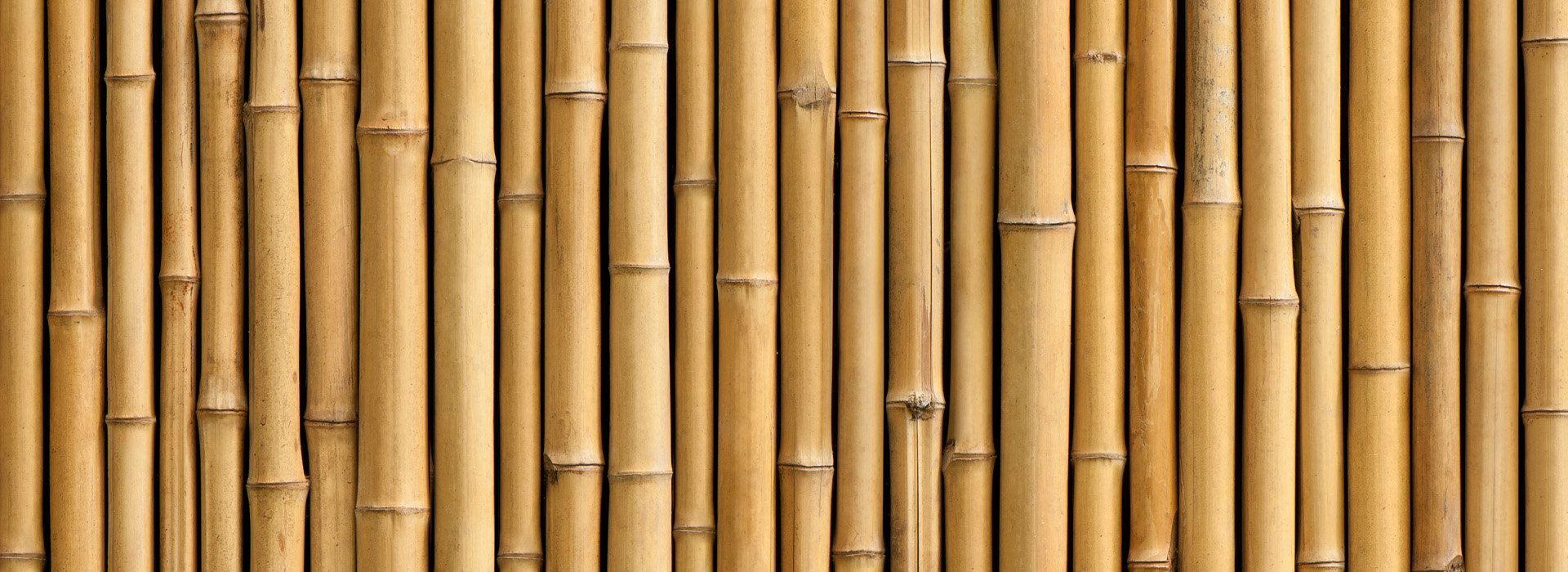 accessori bamboo